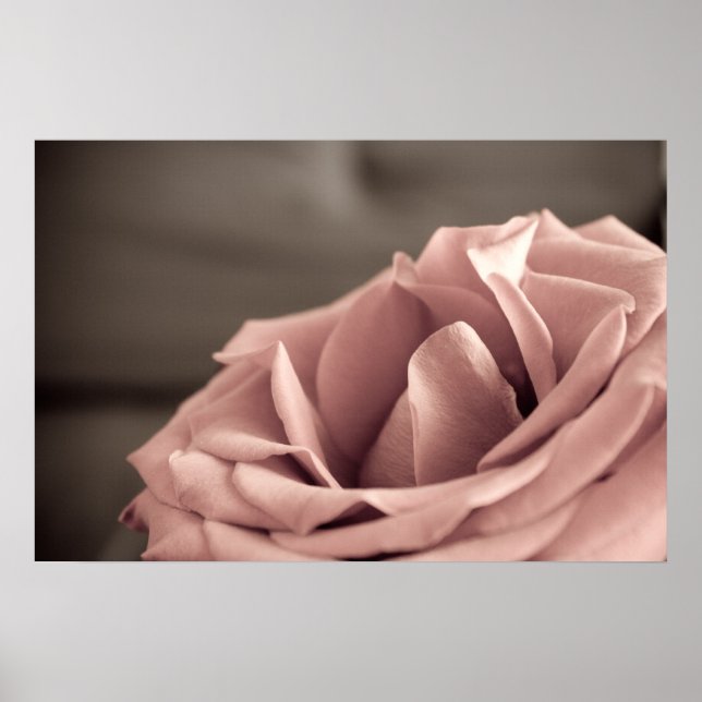 Blush Poster (Front)