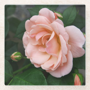 Blush Rose Floral Glass Coaster