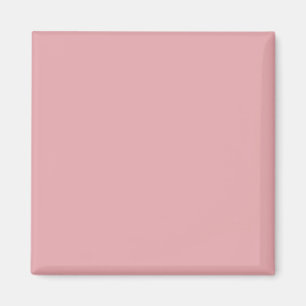 Blush Rose Pink Solid Colour   Classic   Elegant  Magnet