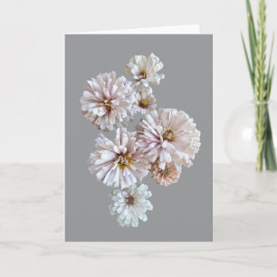 Blush Zinnia Folded Greeting Card