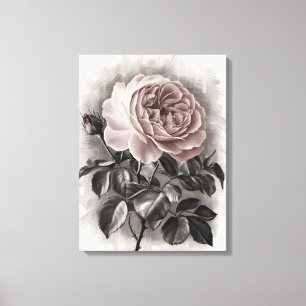 Blushing Bloom Canvas Print