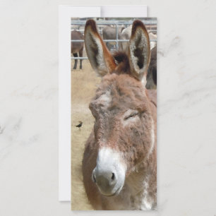 Blushing Burro - Kids Bookmarks School Supplies