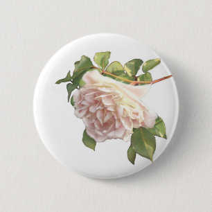Blushing Ivory Peach Rose 6 Cm Round Badge