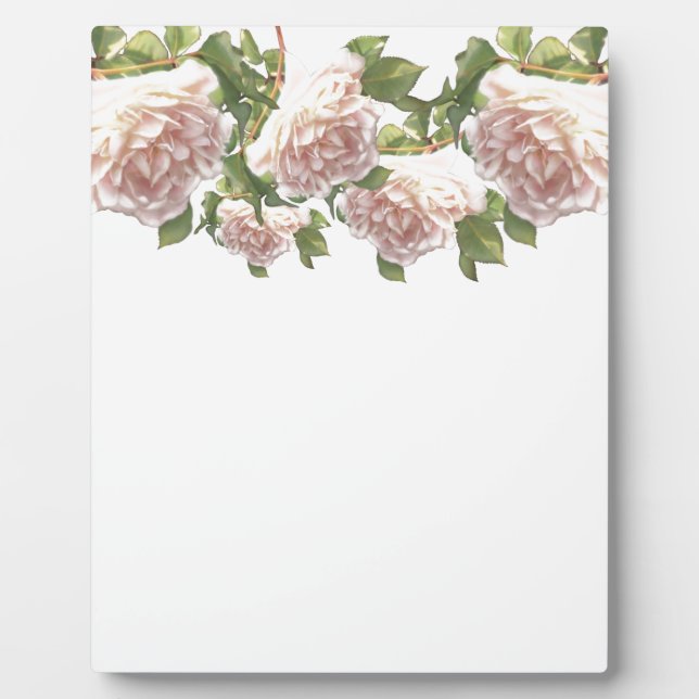 Blushing Ivory Peach Rose Plaque (Front)