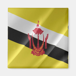 BN - Brunei - Flag Waving Magnet