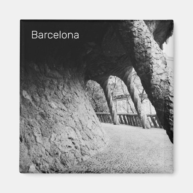 Bnw  colonnade of Park Guell Magnet (Front)