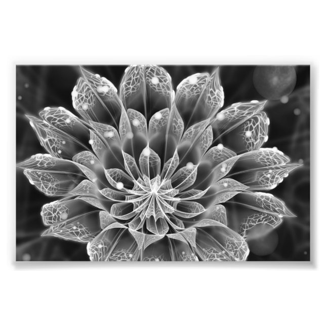 BnW Fractal Dahlia Flower via Electron Microscope Photo Print (Front)