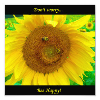 BO1050 12x12 Photo Print