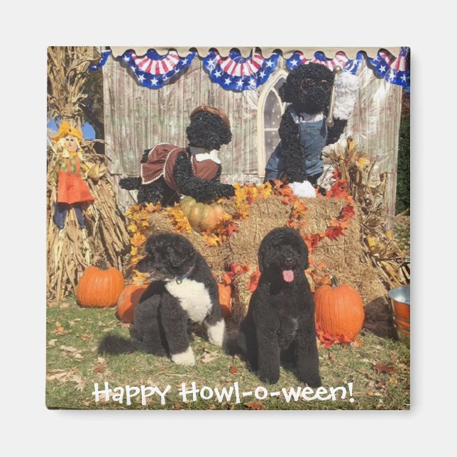 Bo and Sunny Halloween - Magnet (Front)