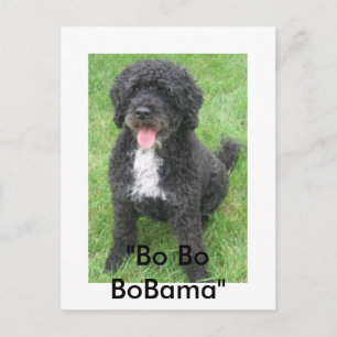 "Bo Bo BoBama" Postcard