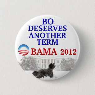 Bo Obama 2012 pin