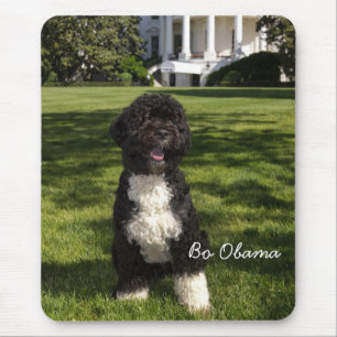 Bo Obama Mouse Pad