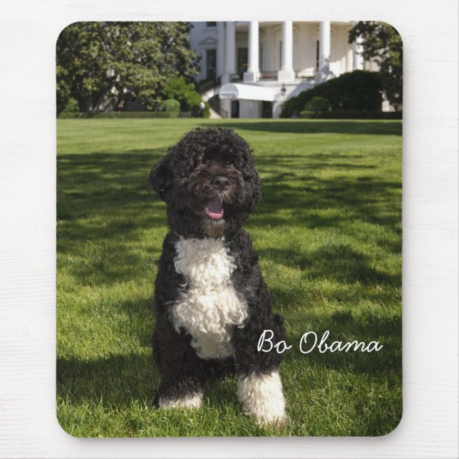 Bo Obama Mouse Pad (Front)