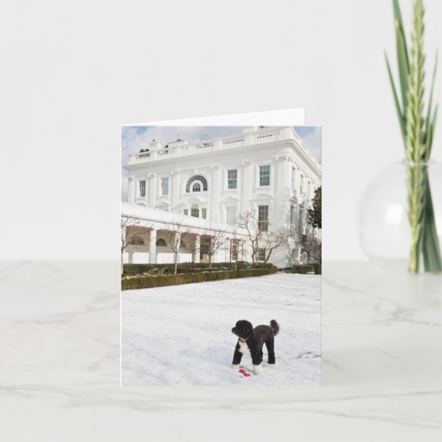 Bo Obama Note Card - Rose Garden (Front)