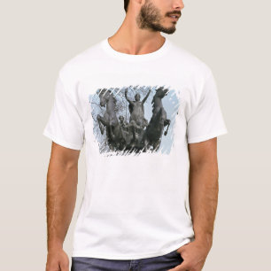 Boadicea, 1850s (bronze) (see also 33580) T-Shirt