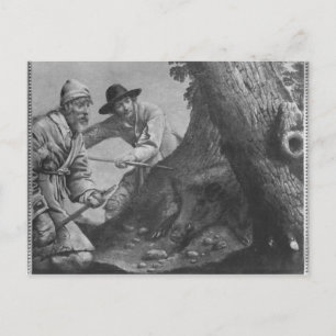 Boar hunt postcard
