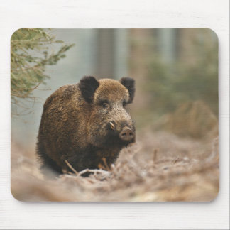 boar!! Wild Boar!!! Mouse Pad