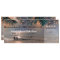 Boarding Pass Tropical Beach Lights Wedding Ticket