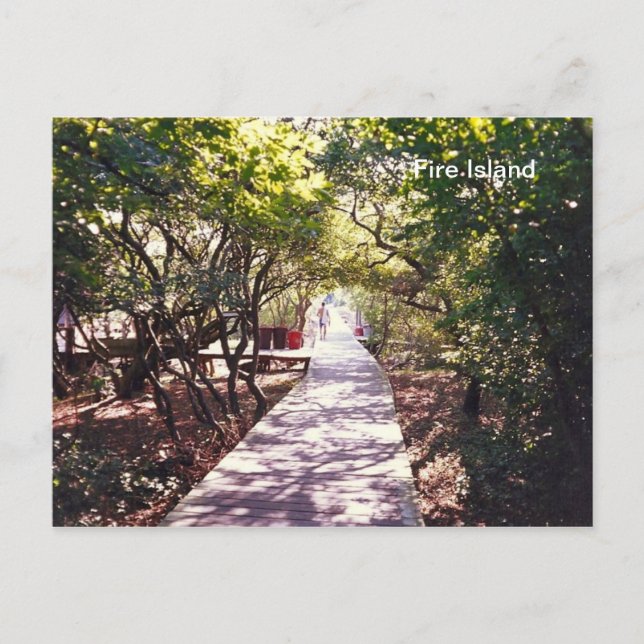 Boardwalk at Davis Park on Fire Is. Postcard (Front)