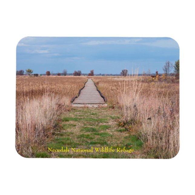 boardwalk through prairie at necedah magnet (Horizontal)
