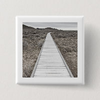 Boardwalk through the desert