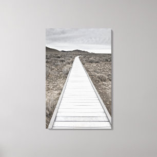 Boardwalk through the desert canvas print