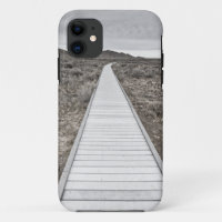 Boardwalk through the desert