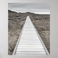 Boardwalk through the desert