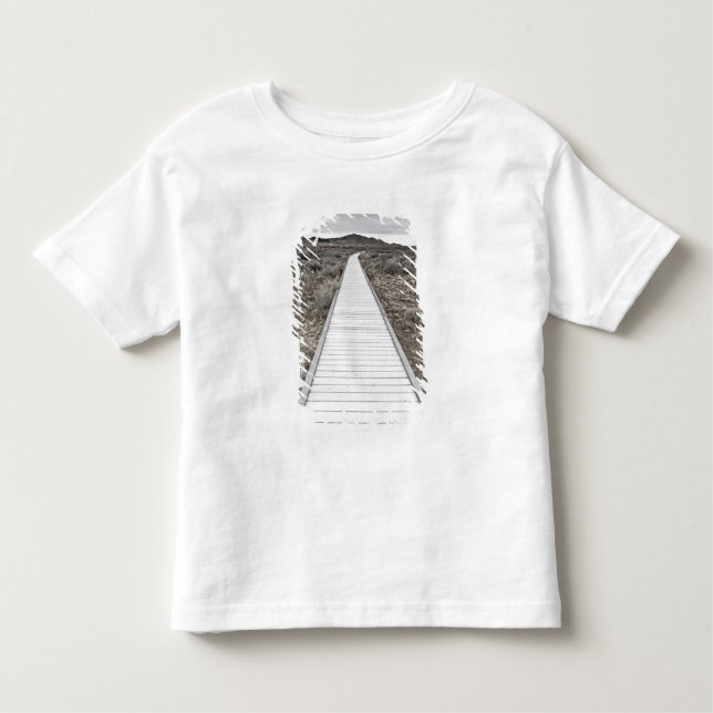 Boardwalk through the desert toddler T-Shirt (Front)