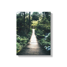 Boardwalk Through The Forest