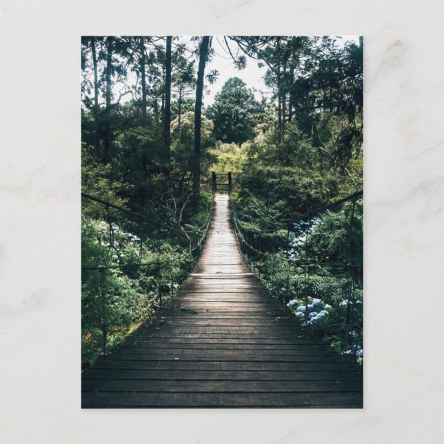 Boardwalk Through The Forest Postcard (Front)