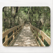 Boardwalk Through the Woods