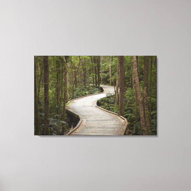 Boardwalk to Nelson Falls, Franklin - Gordon Canvas Print (Front)