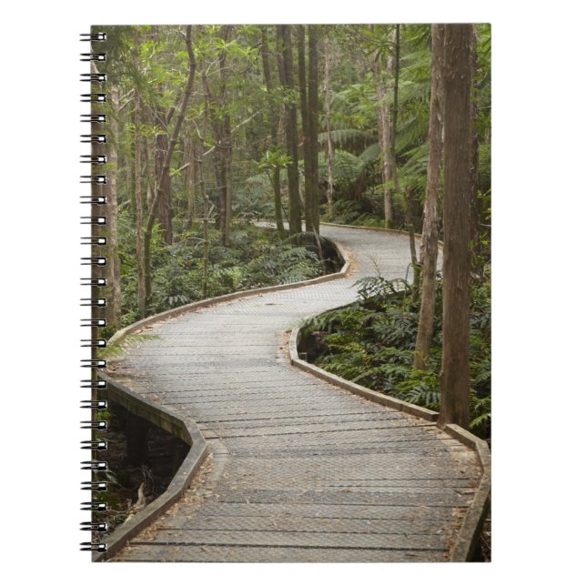 Boardwalk to Nelson Falls, Franklin - Gordon Spiral Notebook (Front)