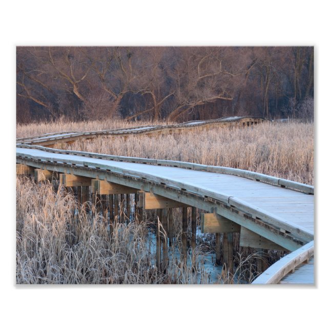 Boardwalk Traverse into the Woods Photo Print (Front)