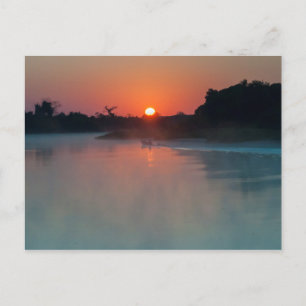 Boat At Sunrise On The River Postcard