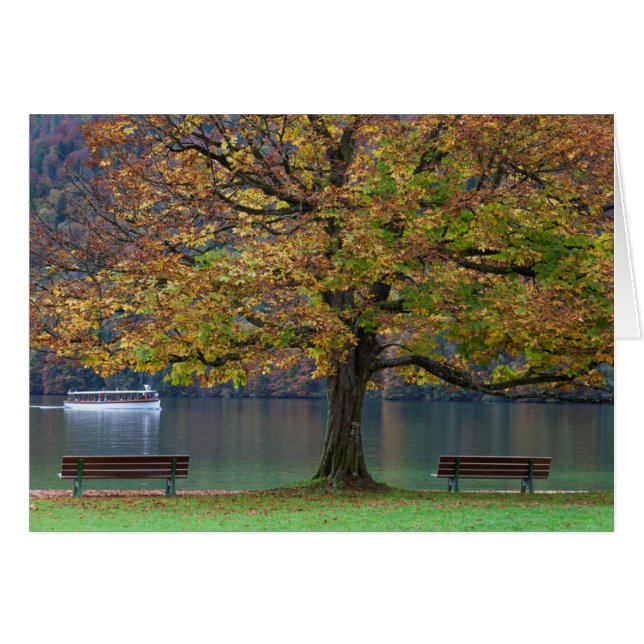 Boat on a lake in fall, Germany (Front Horizontal)
