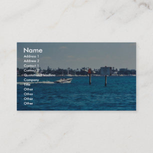 Boat speeding through manatee idle zone business card