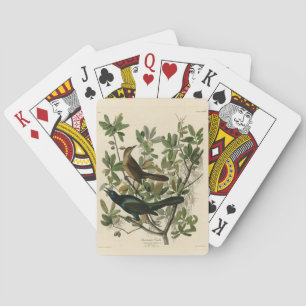Boat-tailed Grackle - Audubon's Birds of America Playing Cards