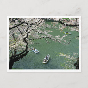 Boating on Chidorigafuchi: Tokyo, Japan Postcard