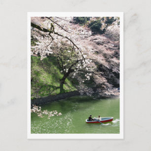 Boating on Chidorigafuchi: Tokyo, Japan Postcard