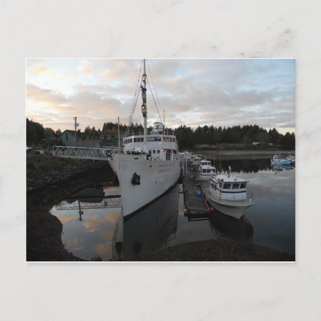Boats at Dock Postcard (Front)