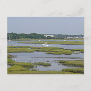 Boats in Lake Postcard