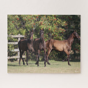 Bob Langrish   3 Andalucian Youngsters Standing Jigsaw Puzzle
