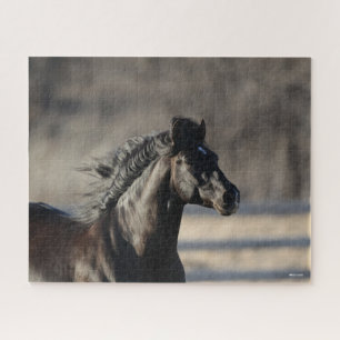 Bob Langrish Andalucian Headshot Mane Flowing Jigsaw Puzzle