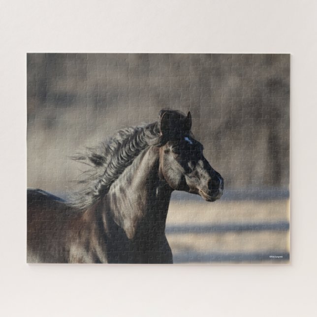 Bob Langrish | Andalucian Headshot Mane Flowing Jigsaw Puzzle (Horizontal)