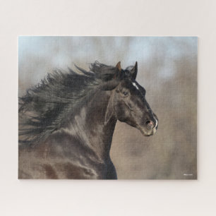 Bob Langrish Andalucian Headshot Mane Flowing Jigsaw Puzzle