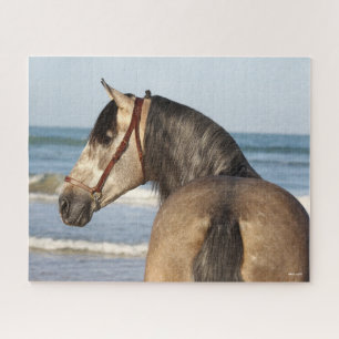 Bob Langrish Andalucian Stallion Headshot Sea Jigsaw Puzzle