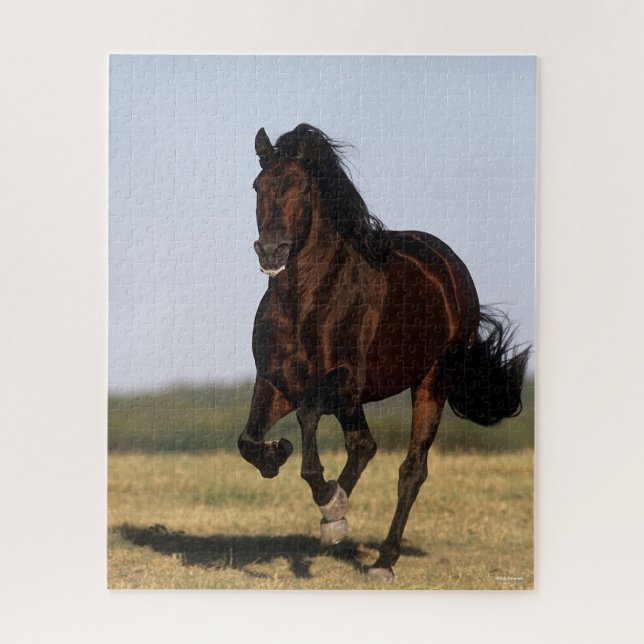 Bob Langrish | Andalucian Stallion Running Jigsaw Puzzle (Vertical)