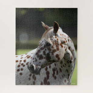 Bob Langrish Appaloosa Standing Headshot Jigsaw Puzzle